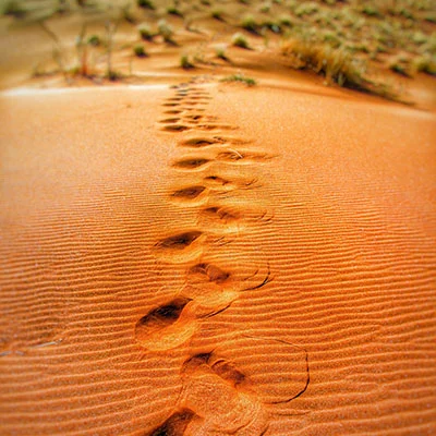 突破网络限制：全方位指南教你如何科学上网畅游百度贴吧